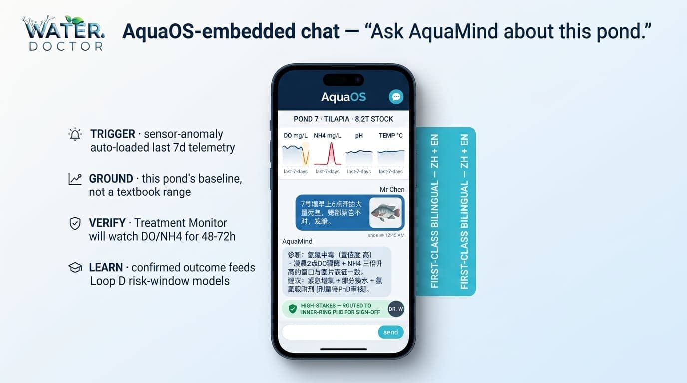 AquaOS 内嵌的移动端对话界面 — 「向 AquaMind 询问这口塘」