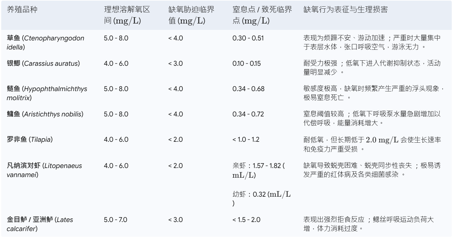 鱼儿品
